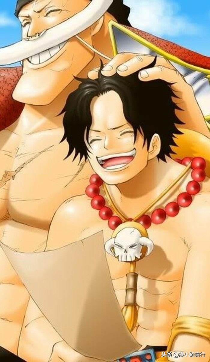 海贼王漫画名字跟动画的区别,海贼王漫画原名叫什么