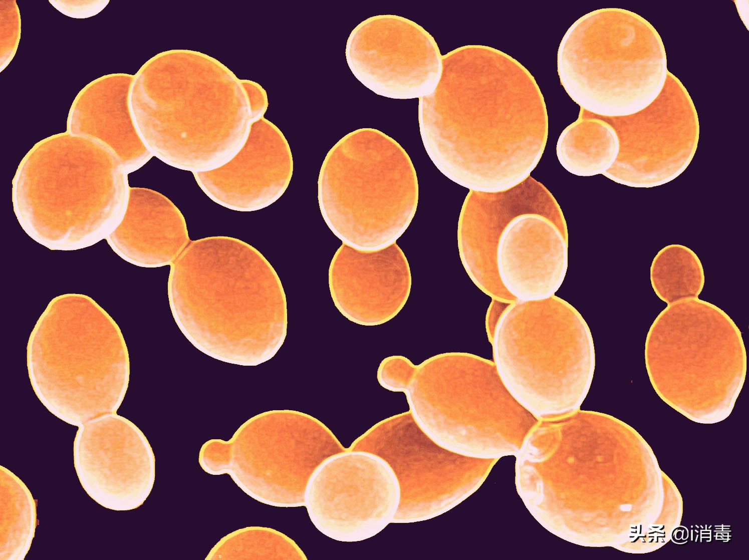 遇到胀瓶，涨带的饮料不敢喝，那么原因是什么？