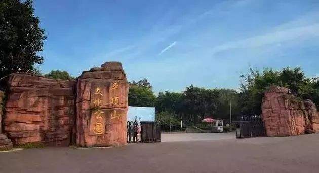 重庆附近公园免费景点推荐一下,重庆主城区适合小孩玩的公园