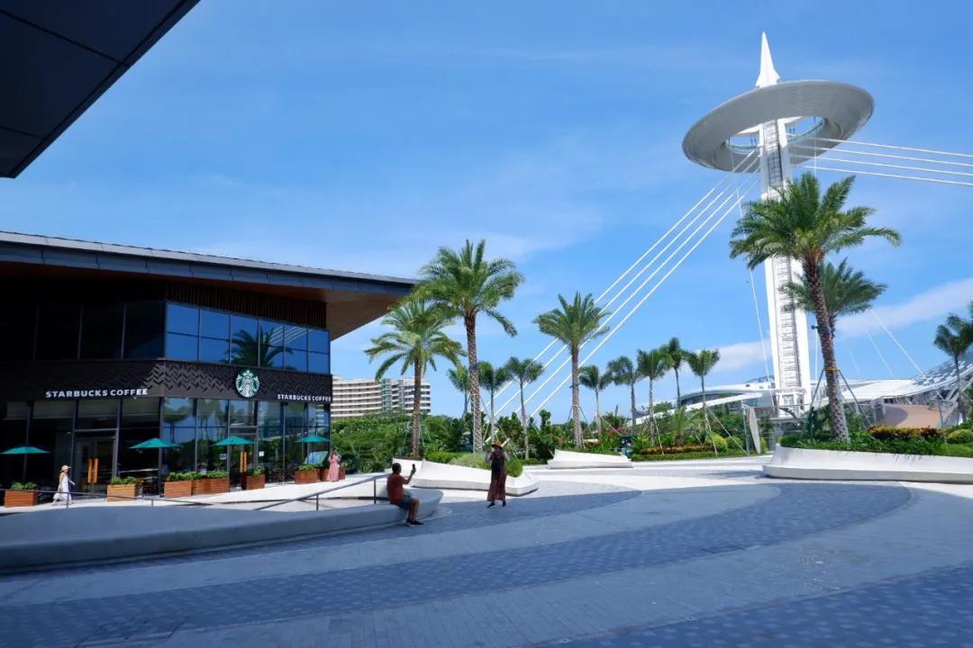 来三亚免税城最值得带什么回去,三亚几个免税城购物攻略