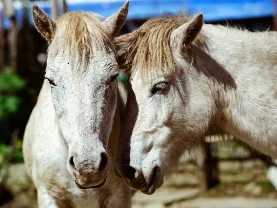娃娃没有上进心怎么办,自己没有上进心怎么办