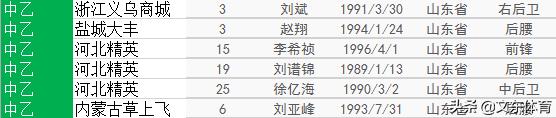 2020中国足球队员40强名单,山东中国足球队球员名单