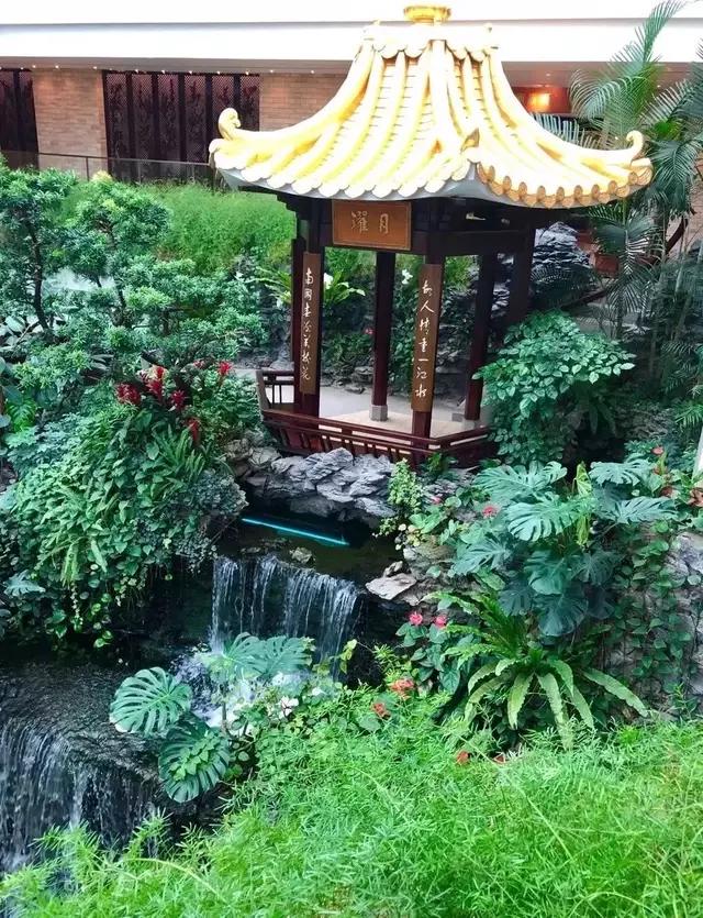 广州老字号早茶本地人推荐,广州老字号早茶排行榜