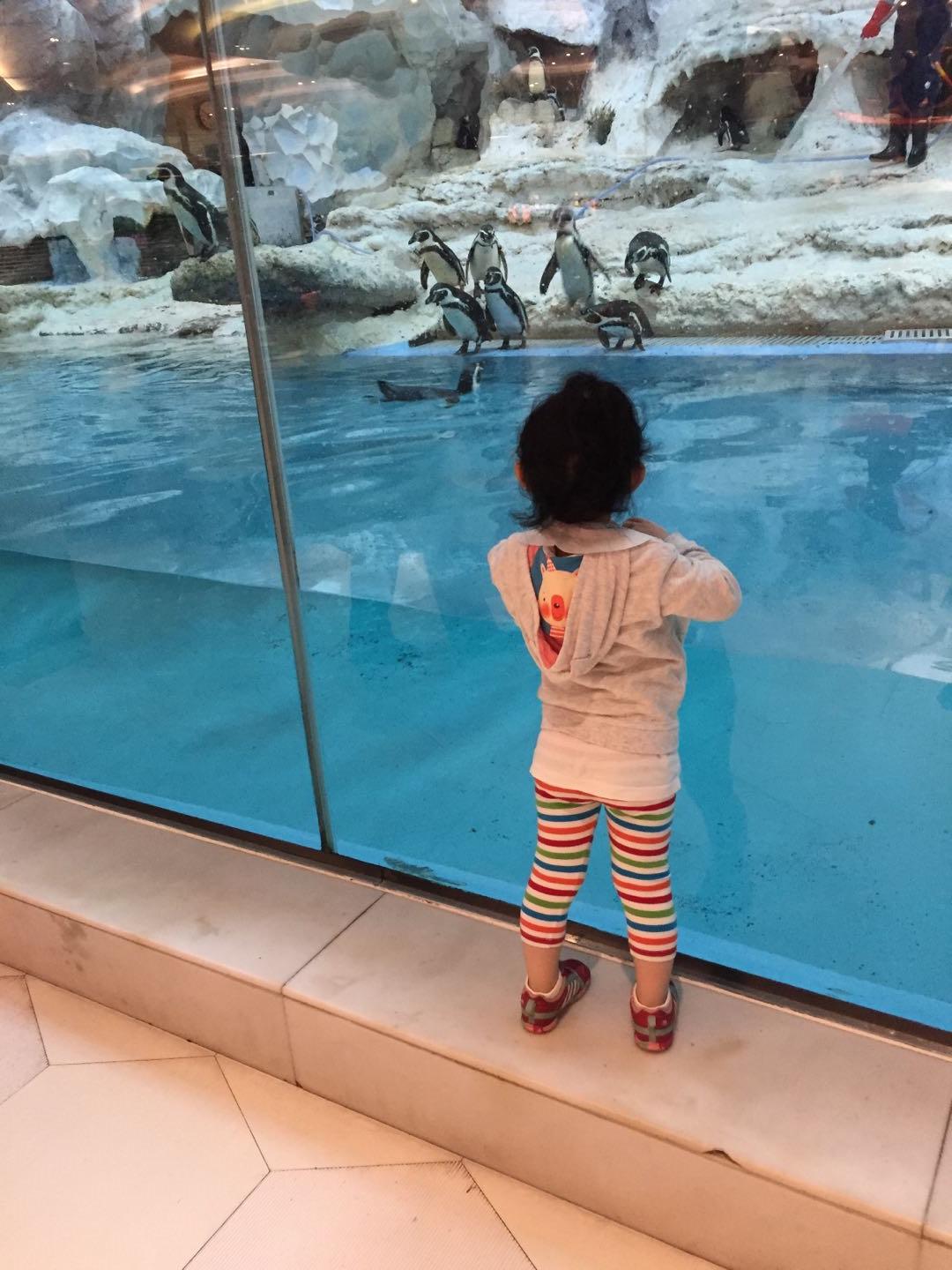 珠海长隆海洋王国附近美食,珠海长隆海洋王国官网预约