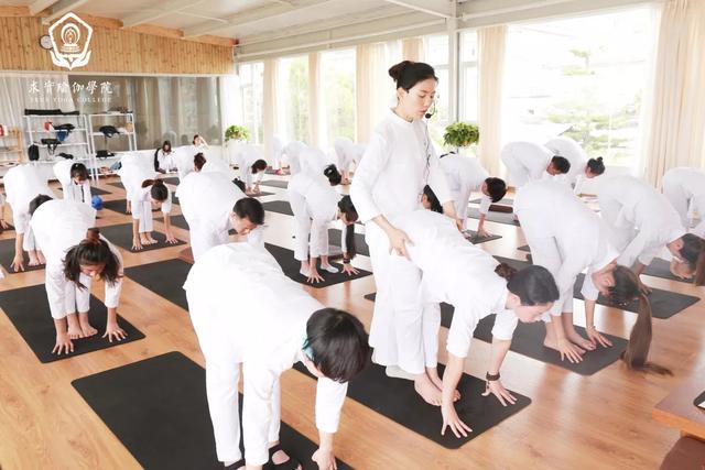 瑜伽老师如何自我练习,瑜伽老师自我练习方法