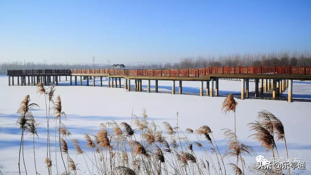 乐亭最美的地方,乐亭县古镇