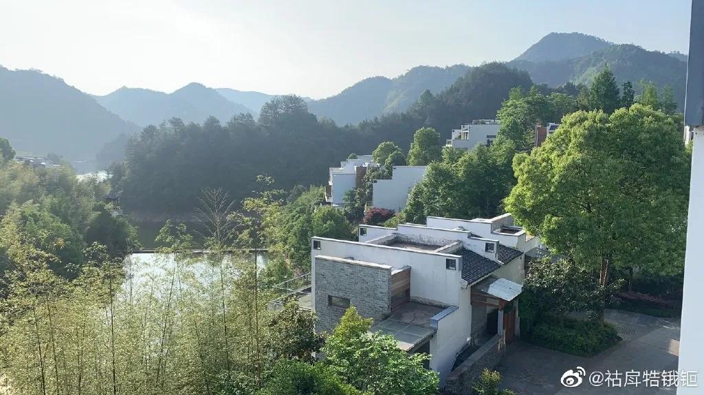 初夏德懋堂，绿树阴浓夏日长