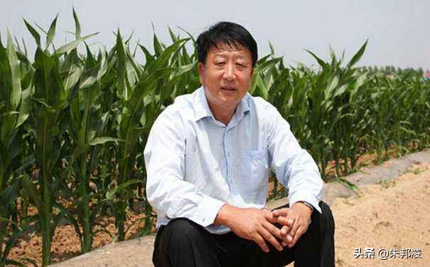 袁隆平玉米,中国农业大国袁隆平