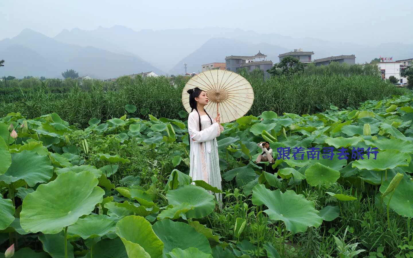 西安蓝田特色小吃,西安蓝田好吃的小吃