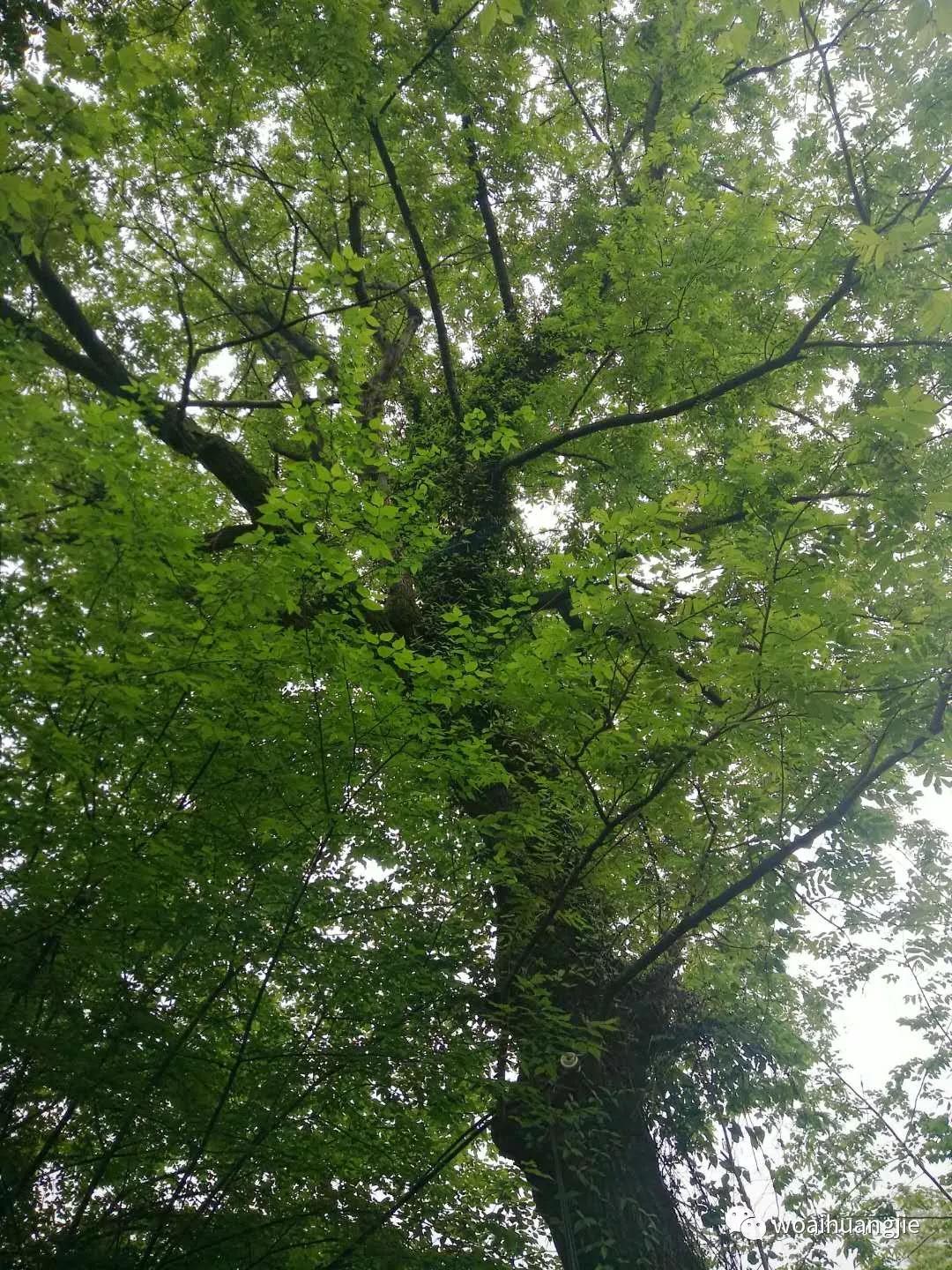 泾县哪些地方值得去,泾县值得去吗