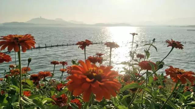 2019-2020七年级上册英语期末试卷,七年级英语期末复习重点人教版