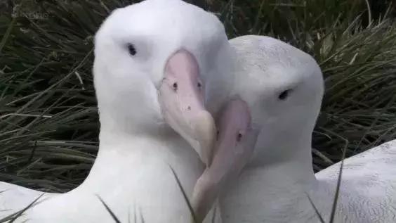 长春家长都领着孩子在干这件事儿，你没做，就落后了！