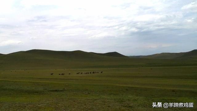 达里诺尔湖达达线,内蒙达里诺尔湖旅游攻略