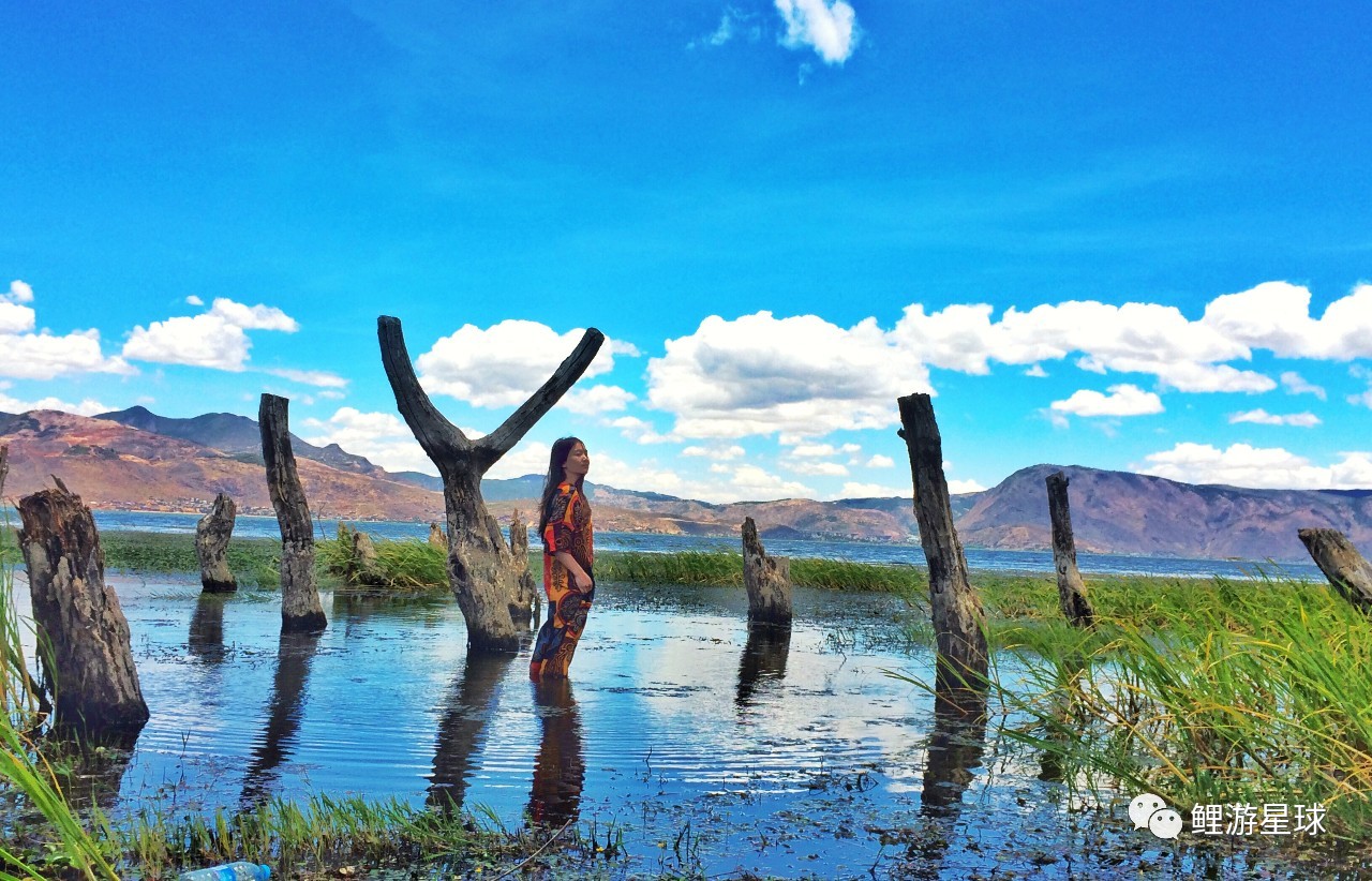云南大理洱海网红景点打卡,云南大理好看的风景打卡处