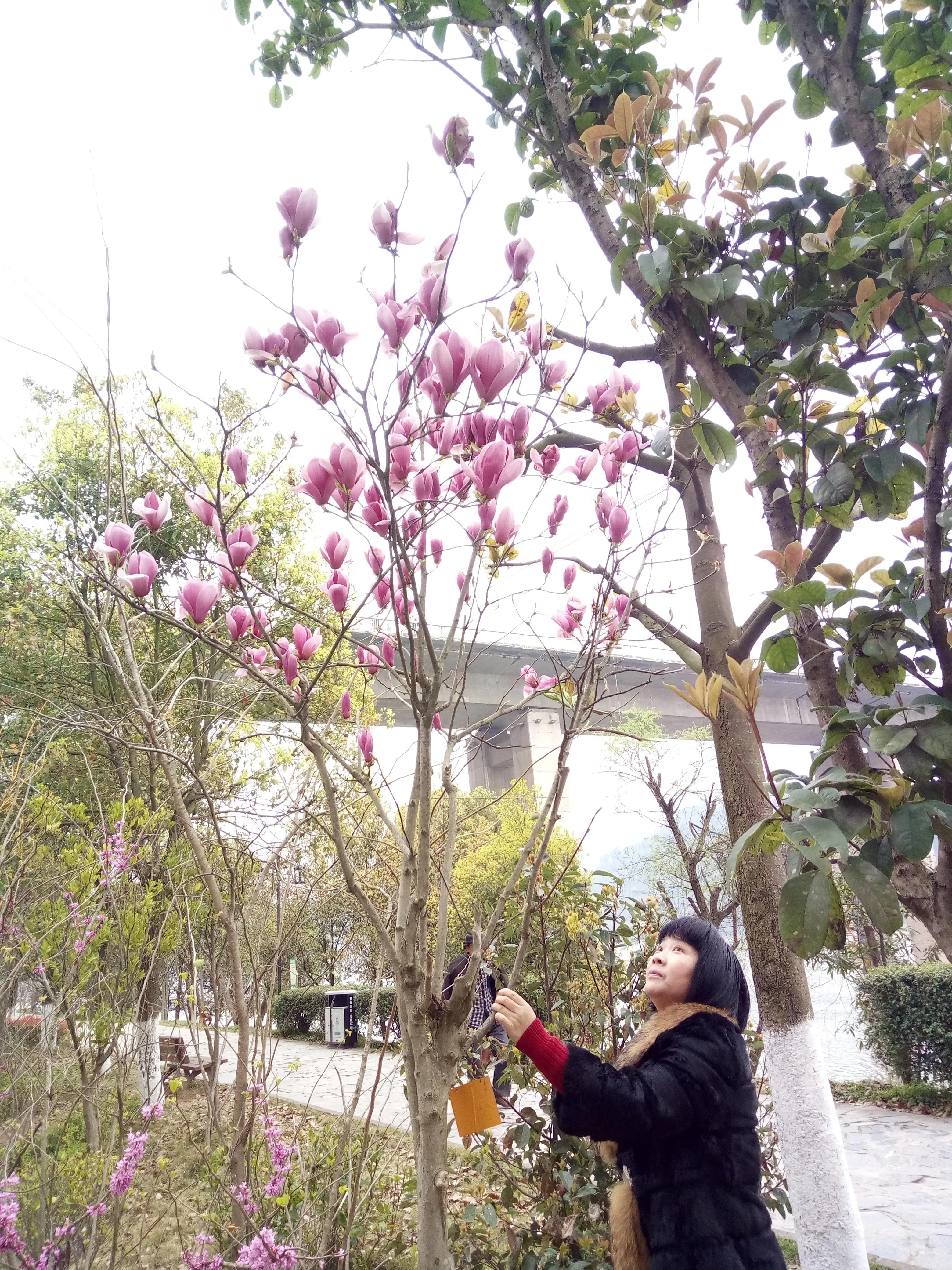 沅陵县城仅存的老巷子,沅陵宽窄小巷