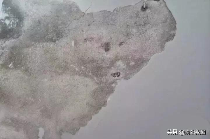 涨粉的正确姿势视频,刮腻子粉顶面起泡解决方法