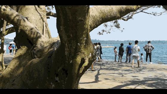 蓝天白云湖面碧波荡漾天然氧吧,湖光岩大自然天然氧吧