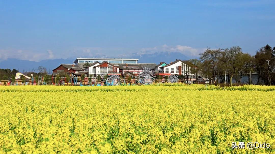 成都top100小区,成都最美top10图书馆