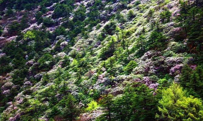 甘孜5日旅游攻略最新,四川旅游团去甘孜旅游攻略