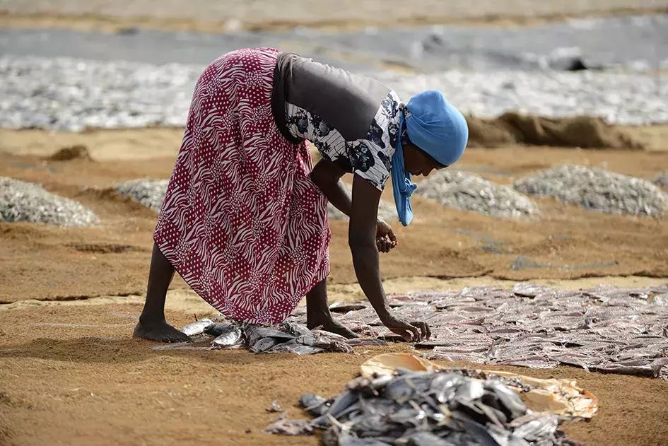 印度洋孕育了风情万种，看看庄培芳“微笑的斯里兰卡”就能感受到
