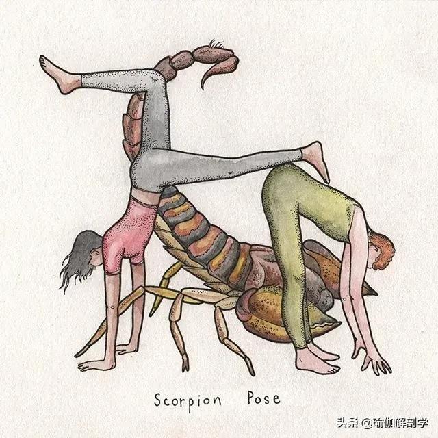 100张户外瑜伽唯美图片,各种动物瑜伽姿势图片