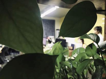 鍚戝寳logo璁捐,鍚戝寳鍝佺墝璁捐