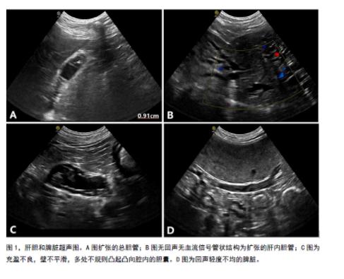 犬胆囊阻塞怎么引起的,犬得胆囊炎的原因