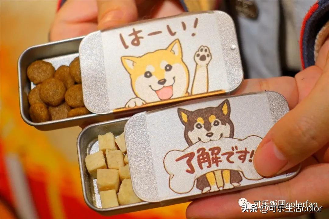 撸柴犬店广州,撸柴宠物乐园