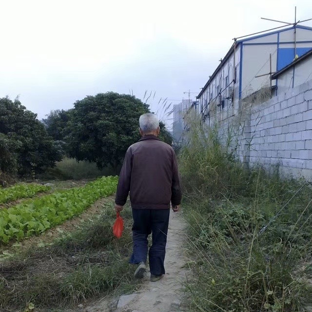 我和摄影的约定,我与摄影中的感悟