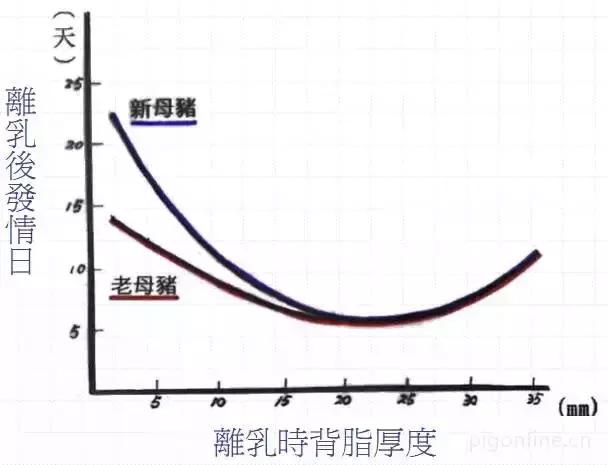 母猪不发情吃什么药,母猪为什么不生崽