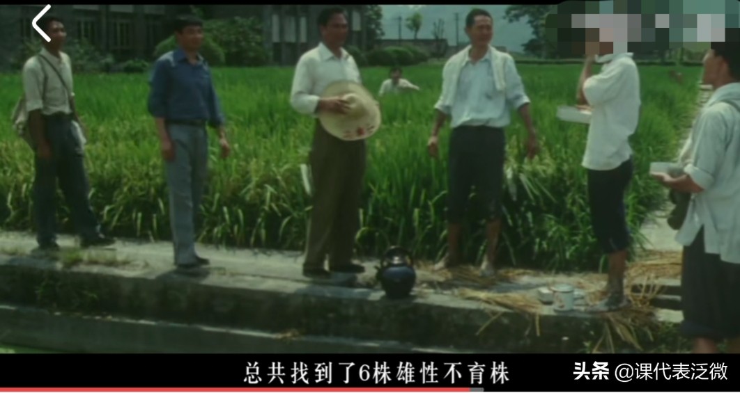 你不知道的袁隆平：浪里白条、预备飞行员、油炸鬼、臭水沟捞宝贝