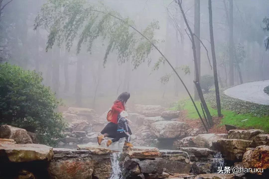 南方也能下雪吗,南方也能见到雪