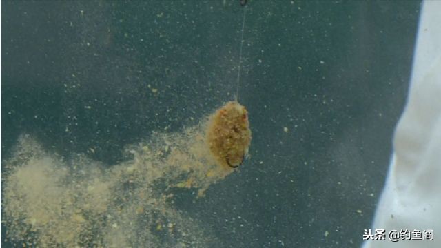 抛竿挂饵正确方法,拉饵怎么抛竿诱鱼