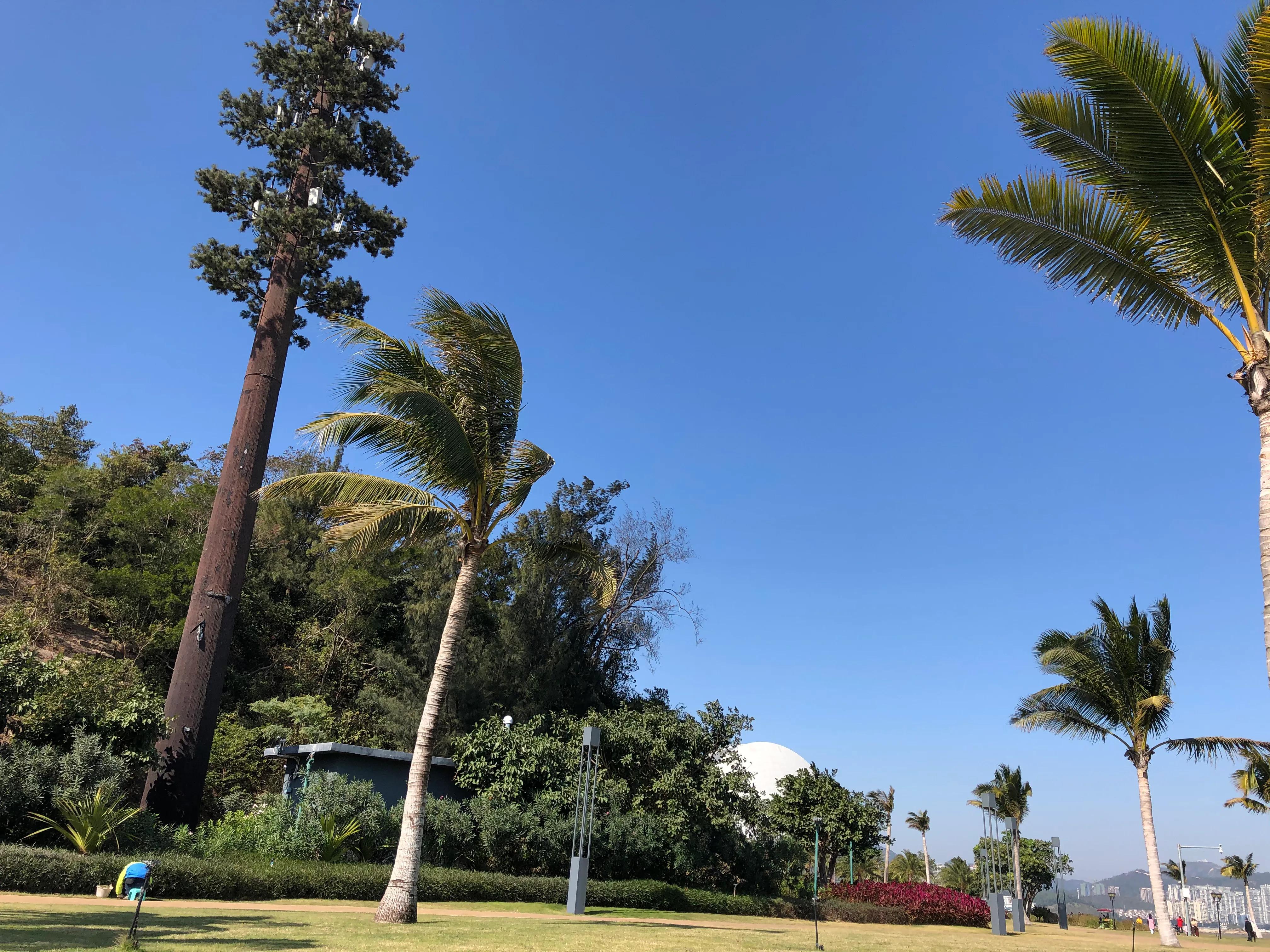 珠海野狸岛退潮时间,珠海冬日游