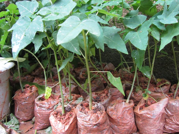 帮助老百姓返乡创业项目,助力农村家庭创业致富项目