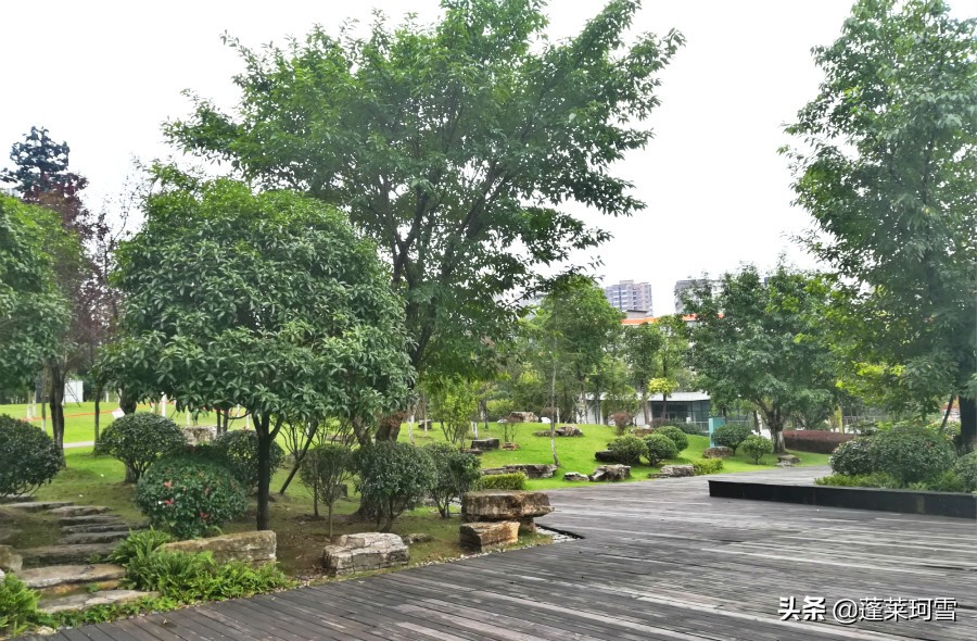 自贡汇东足球,自贡5人制足球联赛