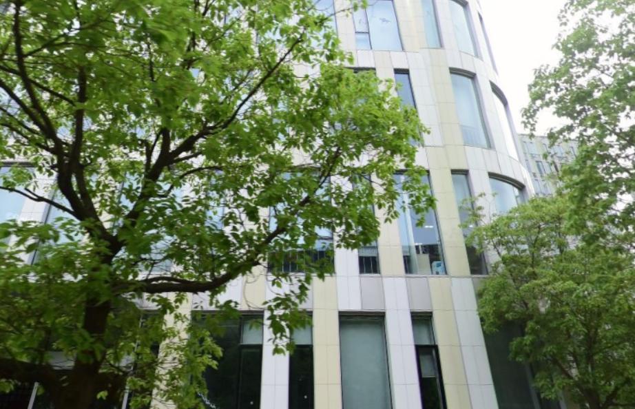 st游久最多涨了多少,st游久啥时退市