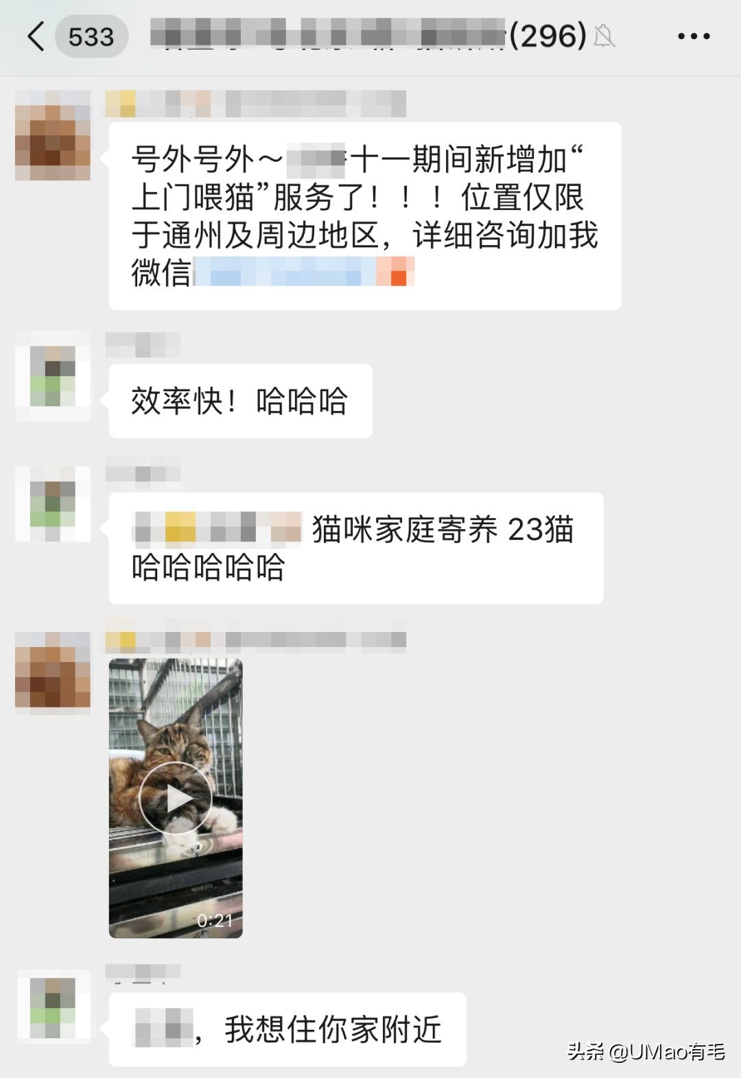 上门喂猫到底怎么样,上门喂猫一般多久一次
