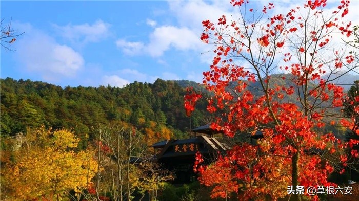 不输黄山迎客松的迎客松,不输黄山的景点