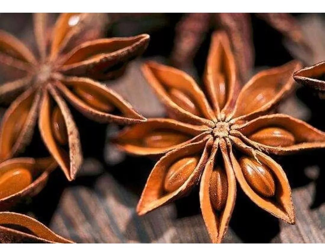 鱼干怎么晒没有苍蝇,怎样保证晒的鱼干不生虫