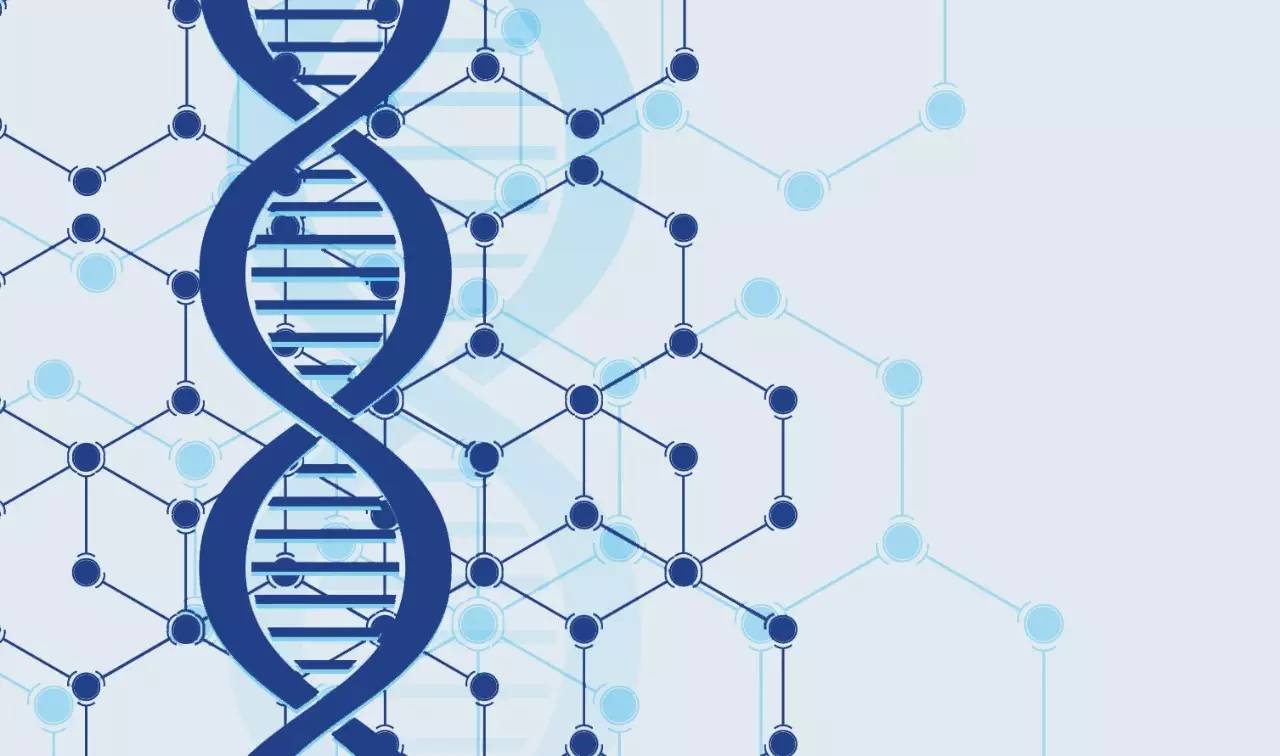 非器质性耳聋,器质性耳聋的分型