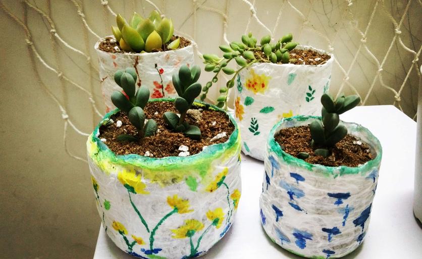 塑料瓶养花妙用大全,塑料瓶养花好还是玻璃瓶养花好