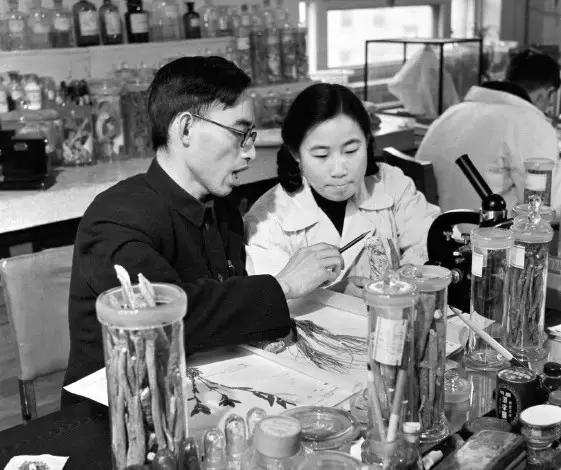 让美军损失惨重，威胁2亿人生命安全！中国神药如何攻克千年瘟疫