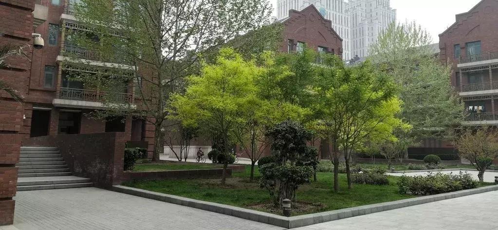 寸土寸金公园,天津值得一去的公园