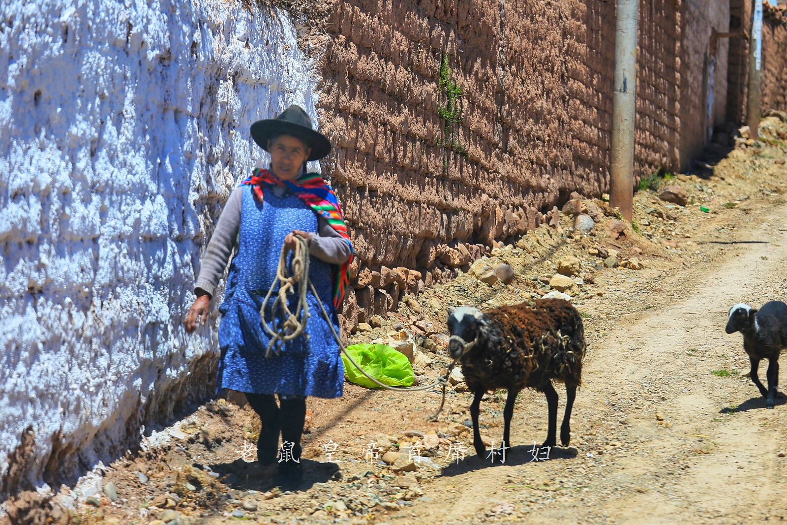 南美千年印加古镇,妇女掌握独门神技:用仙人掌真菌做口红