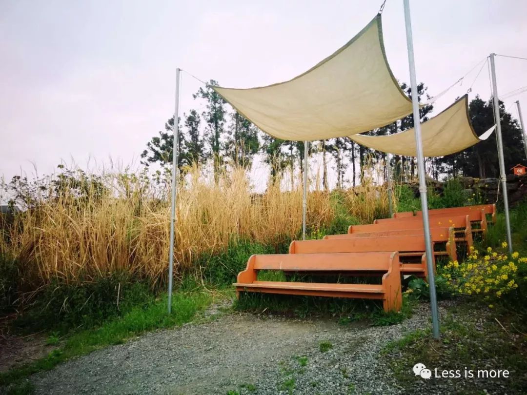 带你们看看济州岛的美景,济州岛的特色