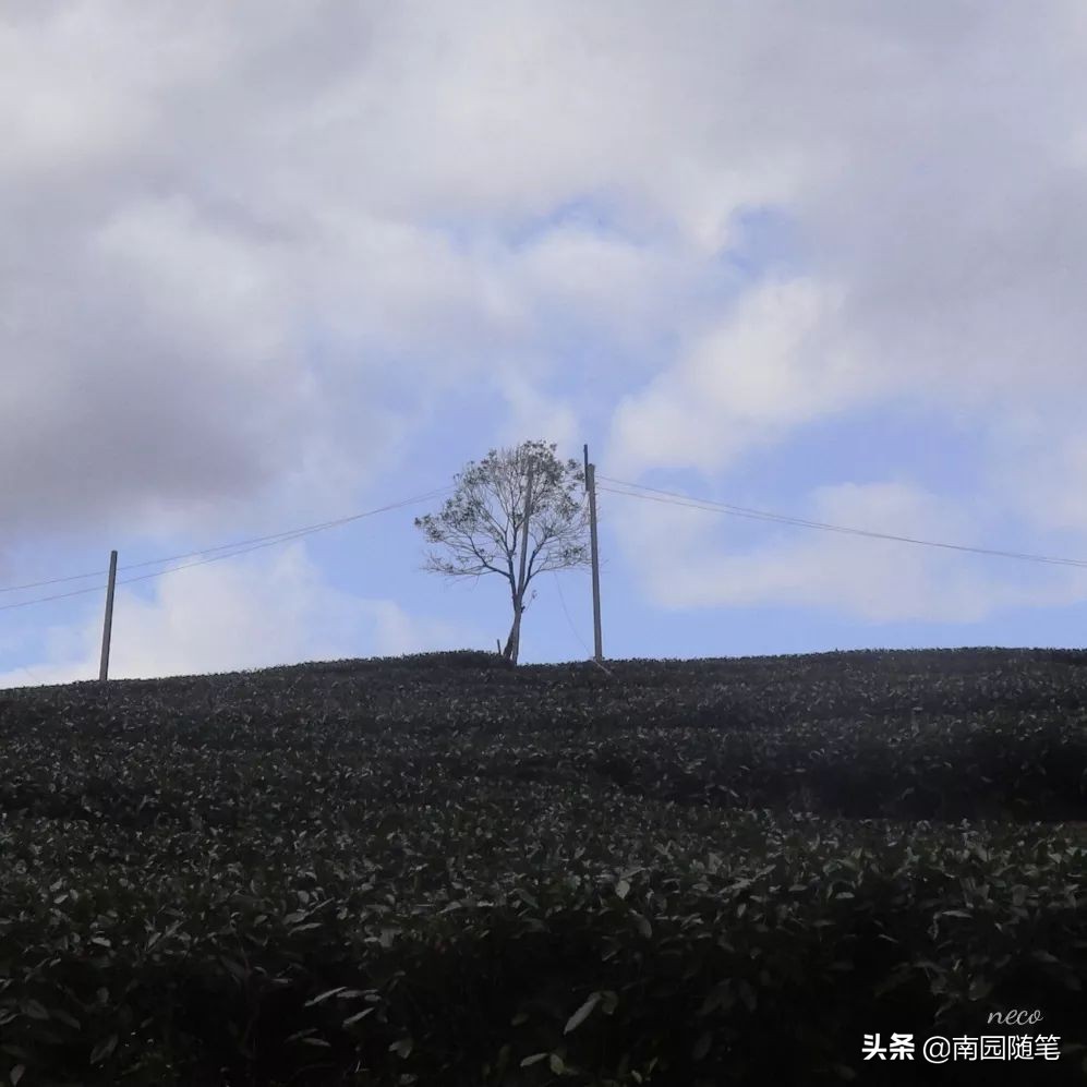 世界尽头与冷酷仙境书籍,书籍的力量名言名句