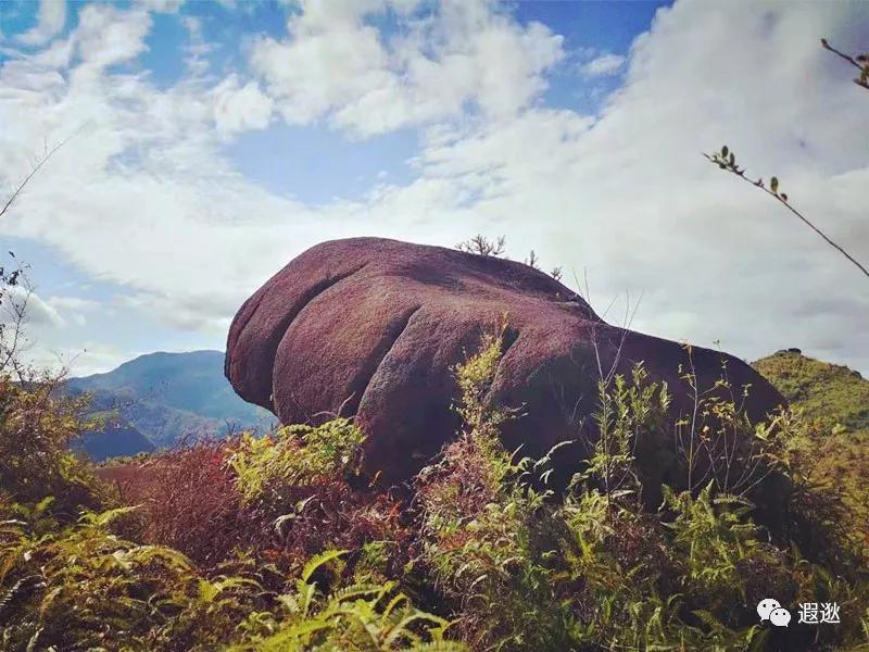 温州居然有这么美的小众景点,温州青龙山风景区在哪里