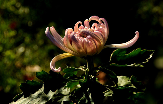 国庆假期给自己一场绝美的旅行,国庆长假旅游攻略景点推荐