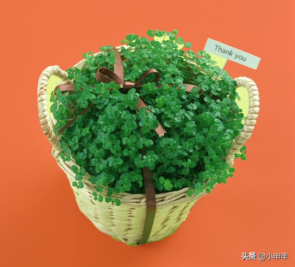 ps抠图删减选区,ps抠图修改边缘